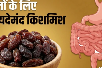 पाचन और आंतों की सेहत के लिए रामबाण है किशमिश, डॉक्टर ने रोजाना खाने की दी सलाह