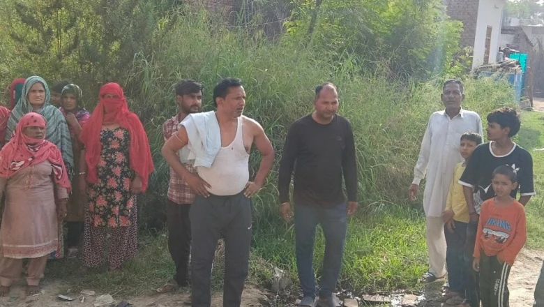 फरीदाबाद की बीपीएल कॉलोनी की बदहाली: श्मशान से होकर स्कूल जाने को मजबूर बच्चे, नारकीय जीवन जीने को हैं लाचार