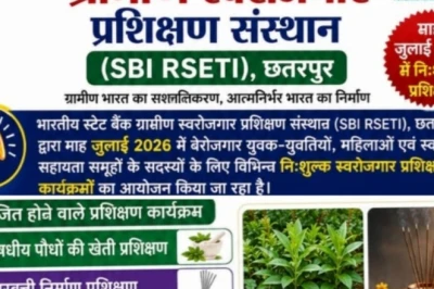 नौकरी की टेंशन खत्म: SBI RSETI दे रहा है 6 तरह की मुफ्त ट्रेनिंग, रहने और खाने की व्यवस्था भी फ्री; जानें कैसे लें एडमिशन