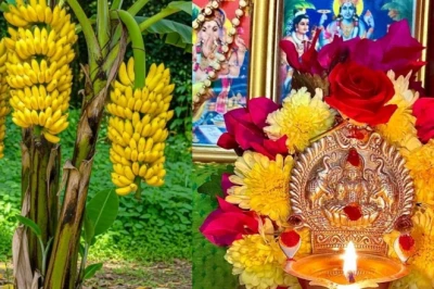 गुरुवार को केले के पेड़ की पूजा क्यों है इतनी खास? किन लोगों के लिए यह उपाय है रामबाण