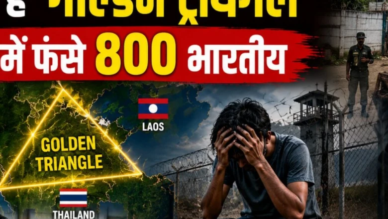 थाईलैंड में नौकरी का झांसा और गोल्डन ट्रायंगल की काली दुनिया: कैसे 800 भारतीय बने बंधक