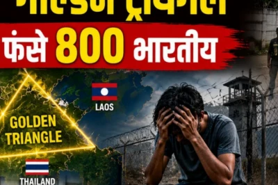 थाईलैंड में नौकरी का झांसा और गोल्डन ट्रायंगल की काली दुनिया: कैसे 800 भारतीय बने बंधक