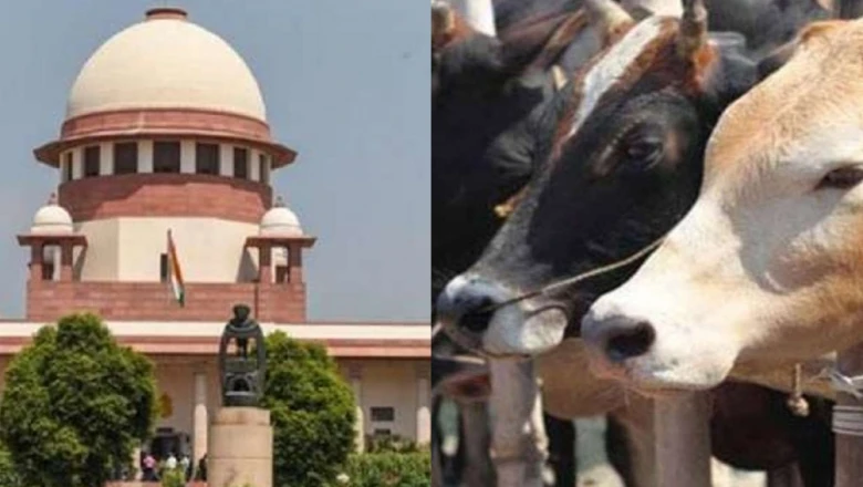 तमिलनाडु गोवध प्रतिबंध विवाद: मद्रास हाई कोर्ट के फैसले के खिलाफ सुप्रीम कोर्ट पहुंची राज्य सरकार, जानिए क्या है पूरा मामला