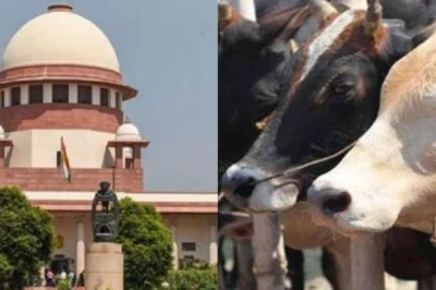 तमिलनाडु गोवध प्रतिबंध विवाद: मद्रास हाई कोर्ट के फैसले के खिलाफ सुप्रीम कोर्ट पहुंची राज्य सरकार, जानिए क्या है पूरा मामला