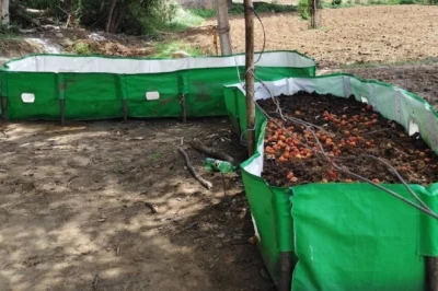 वर्मी कंपोस्ट बनाने वाले किसान रहें अलर्ट, बारिश के मौसम में इन गलतियों से मर सकते हैं आपके केंचुए