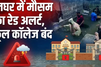 पालघर में भारी बारिश का रेड अलर्ट: सभी शिक्षण संस्थानों और आंगनवाड़ी केंद्रों में कल छुट्टी का एलान