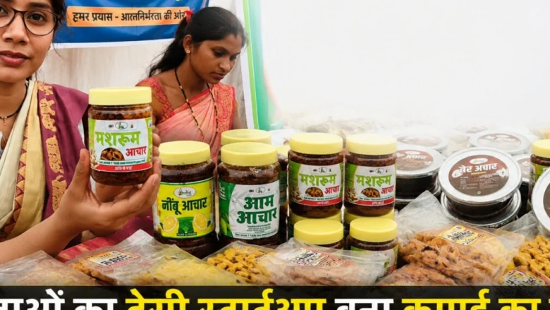 छत्तीसगढ़ की महिलाओं का देसी स्टार्टअप: सिर्फ 20 हजार रुपये से की शुरुआत, घरेलू स्वाद के दम पर कमाया कई गुना मुनाफा