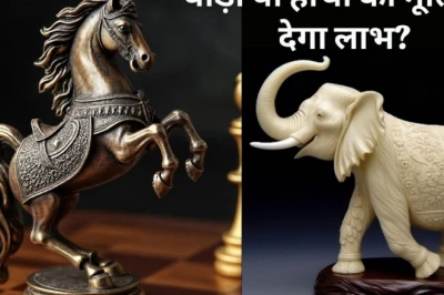 घर की सुख-समृद्धि के लिए वास्तु: दौड़ते हुए घोड़े या हाथी की मूर्ति में से क्या है आपके लिए बेहतर?