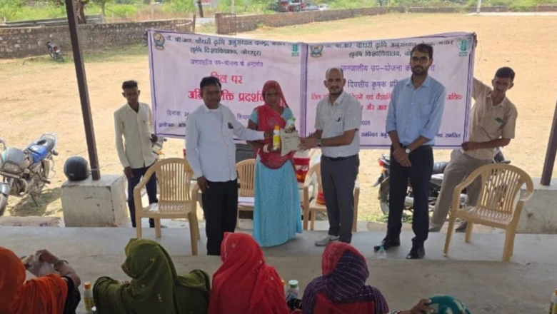 तिल की खेती से बदली आदिवासी किसानों की तकदीर, कम पानी और कम लागत में बंपर मुनाफा