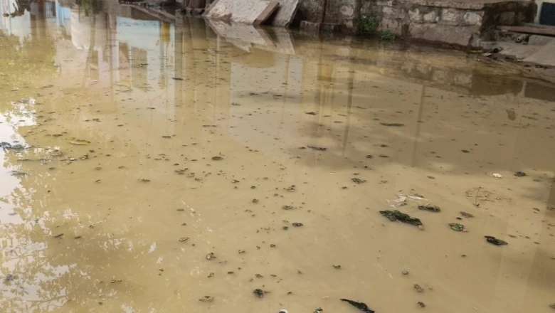 धौलपुर: लीला विहार कॉलोनी में सीवर का गंदा पानी बना मुसीबत, नरक जैसी स्थिति से जूझ रहे स्थानीय लोग