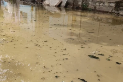 धौलपुर: लीला विहार कॉलोनी में सीवर का गंदा पानी बना मुसीबत, नरक जैसी स्थिति से जूझ रहे स्थानीय लोग