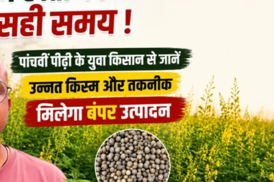 अरहर की बंपर पैदावार का नया फॉर्मूला: कम बीज और बेड टू बेड तकनीक से लक्ष्मीकांत ने बदली खेती की तस्वीर