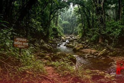 रांची का 'नागिन नाला': घने जंगलों के बीच बसी एक बेहद खूबसूरत और रहस्यों से भरी जगह, जहां जाने से कतराते हैं लोग