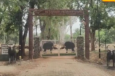 झारखंड के बेतला नेशनल पार्क में अगले तीन महीनों के लिए थमी जंगल सफारी, वन विभाग ने पर्यटकों के प्रवेश पर लगाया प्रतिबंध
