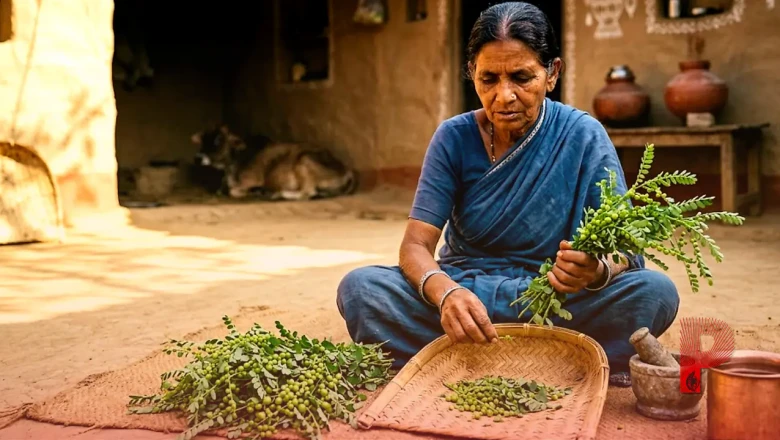 नाम में आंवला पर गुणों में बेमिसाल: इस जादुई घास से लिवर की बीमारियों का करें सटीक इलाज