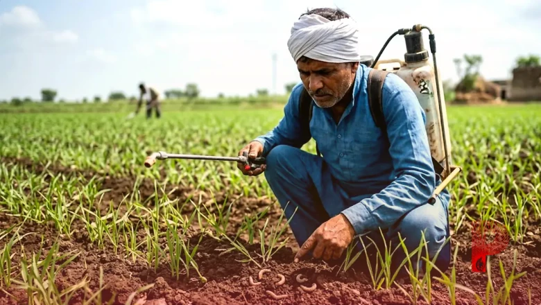 खेतों में छिपे हैं नई फसल के सबसे बड़े दुश्मन, जानिए कैसे एक ही झटके में होगा इनका सफाया