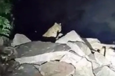 भीलवाड़ा के माजी साहब का खेड़ा गांव में लेपर्ड की दस्तक, पूरी रात घरों में दुबके रहे ग्रामीण