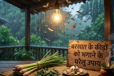 बरसात में लाइट जलाते ही आ जाते हैं कीड़े? इन आसान घरेलू नुस्खों से तुरंत पाएं छुटकारा