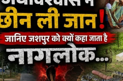 छत्तीसगढ़ का 'नागलोक': मानसून आते ही जशपुर में बढ़ा सांपों का खौफ, झाड़-फूंक का अंधविश्वास ले रहा लोगों की जान