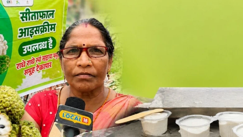 छत्तीसगढ़ की सोनी साहू ने मौसमी फल को बनाया कमाई का जरिया, बरसात में सीताफल स्टोर कर गर्मियों में आइसक्रीम से कर रहीं बंपर मुनाफा