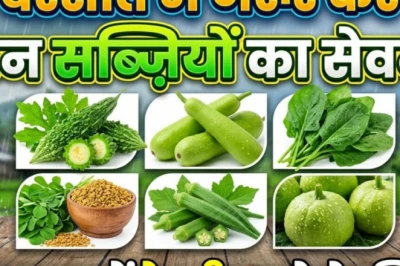 बरसात में सेहत का रखें ख्याल, इन सब्जियों को डाइट में शामिल कर बीमारियों को कहें बाय-बाय