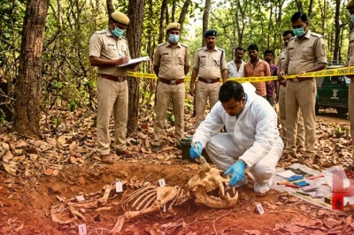 सतना में बाघ की मौत का सनसनीखेज खुलासा, दो महीने तक छिपाकर रखा शव, जंगल में दफन मिला कंकाल
