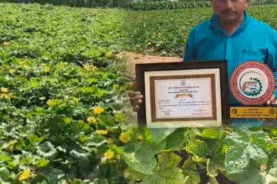 कोडरमा के अजय साव ने पेश की मिसाल, 6 एकड़ में बिना रसायन जैविक खेती कर हर महीने कमा रहे हैं 40 से 45 हजार रुपये