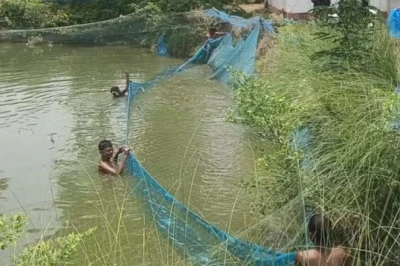 मत्स्य पालन: बिहार के किसानों के लिए सुनहरा मौका, 6 दिन की मुफ्त ट्रेनिंग का होगा आयोजन