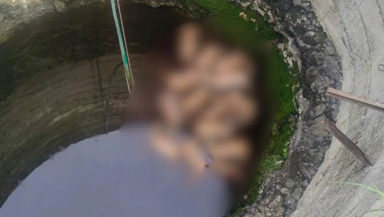 शाजापुर के कुएं में गिरे 13 हिरण और कुत्ते की मौत, आवारा कुत्ते से बचने की कोशिश में हुआ दर्दनाक हादसा