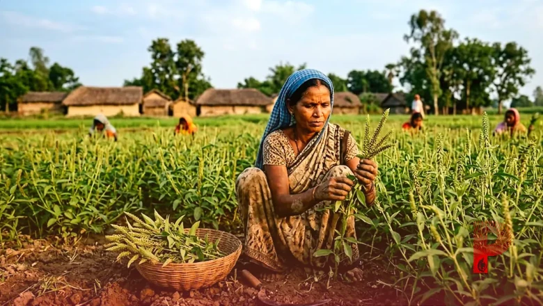 पूर्वी चंपारण में किसानों की नई राह: चिरचिरा की खेती से कमा रहे हैं मुनाफा, दो महीने में तैयार होती है फसल