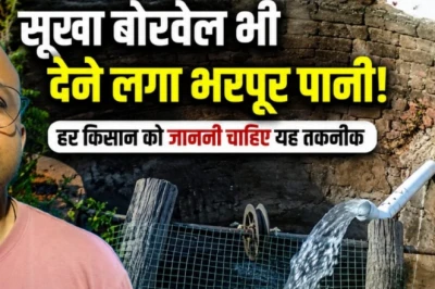 सिर्फ 2 हजार रुपये में सूखा बोरवेल हुआ रिचार्ज, छत्तीसगढ़ के किसान का यह देसी जुगाड़ बन रहा है मिसाल