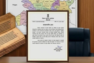 सीतामढ़ी में जीवित है 700 साल पुरानी अनोखी परंपरा, ताड़ के पत्तों पर लिखे जाते हैं वैवाहिक संबंध