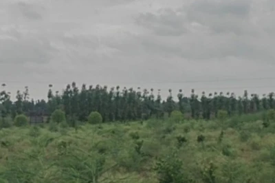 खेत की मेड़ पर सागवान और बीच में मौसमी: पलामू के किसान का यह दोहरा कमाई मॉडल हुआ बेहद सफल