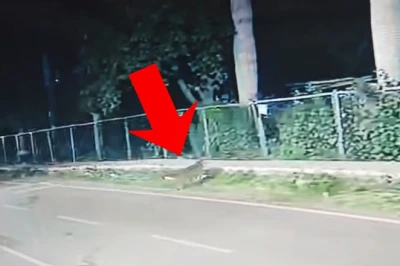 बेंगलुरु के रिहायशी इलाके में घुसा तेंदुआ, सीसीटीवी कैमरे में कैद हुई चहलकदमी, लोगों में दहशत