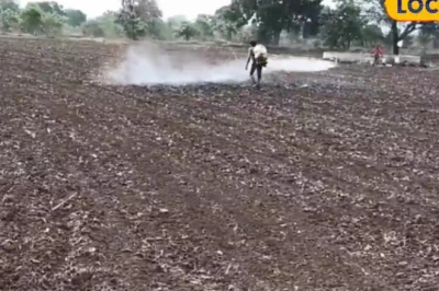 बुवाई के 72 घंटे के भीतर करें यह काम, खेतों में नहीं उगेंगे खरपतवार, कृषि वैज्ञानिक ने दी अहम सलाह