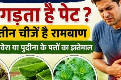 गर्मी में पाचन तंत्र बिगाड़ रहा है आपका स्वास्थ्य? पूर्णिया के आयुर्वेदाचार्य से जानें पेट को ठंडा और दुरुस्त रखने के खास तरीके