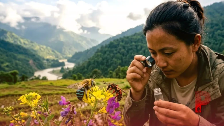 अरुणाचल प्रदेश की सियांग घाटी में मिली मधुमक्खियों की दो दुर्लभ प्रजातियां, खेती के लिए हैं वरदान