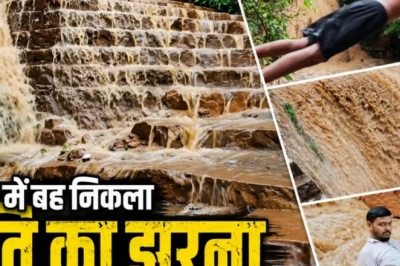 अलवर में मानसून की जोरदार वापसी, बारिश ने फसलों में फूंकी जान और बाला किला की वादियों में बहे झरने