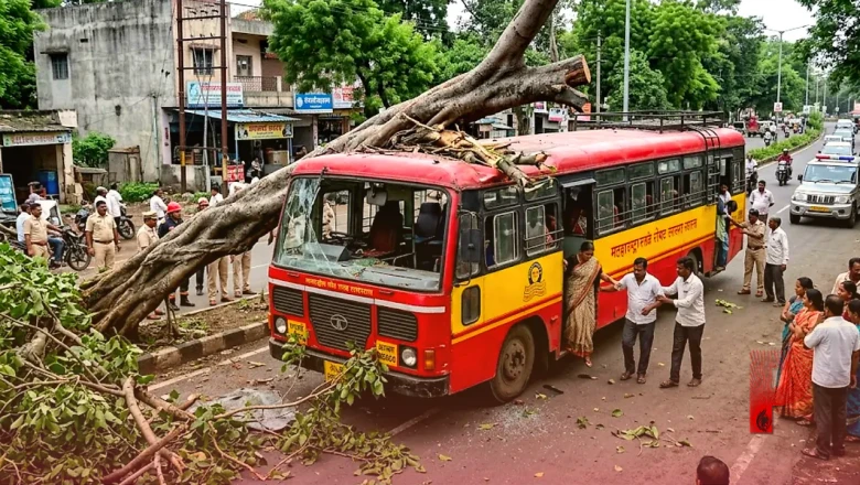 चंद्रपुर में चलती बस पर गिरा विशालकाय पेड़, 40 यात्रियों की बची जान