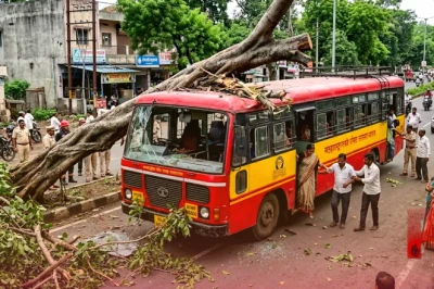चंद्रपुर में चलती बस पर गिरा विशालकाय पेड़, 40 यात्रियों की बची जान