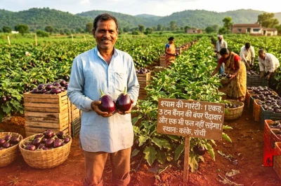 रांची के किसान श्याम की अनोखी गारंटी, 1 एकड़ खेत से 3 टन बैंगन की बंपर पैदावार और एक भी फल नहीं सड़ेगा