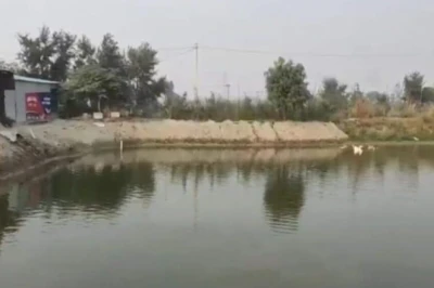 छपरा के पप्पू यादव की कामयाबी: नौकरी न मिलने पर अपनाया मछली पालन का रास्ता, बन गए प्रेरणा