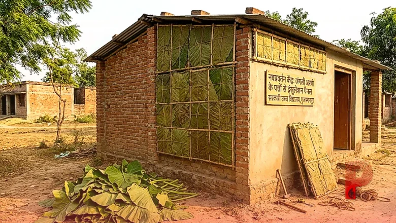 मुजफ्फरपुर के छात्र का कमाल: जंगली अरबी के पत्तों से तैयार किया इंसुलेशन पैनल, अब बिना AC के ठंडा रहेगा घर