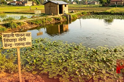 मछली पालन के साथ तालाब में करें सिंघाड़े की खेती, ऐसे होगी दोगुनी कमाई