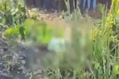 धौलपुर में 16 वर्षीय छात्र की पत्थरों से कुचलकर नृशंस हत्या, जंगल में मिला शव