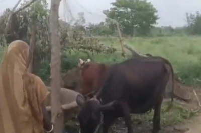 सफलता की कहानी: एक गाय से शुरू किया सफर, आज सीतामढ़ी की समिता बन गईं आत्मनिर्भर