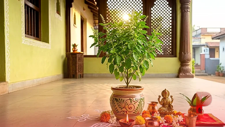 देवशयनी एकादशी पर तुलसी के इन उपायों से बरसेगी मां लक्ष्मी की कृपा, दूर होगी धन की तंगी