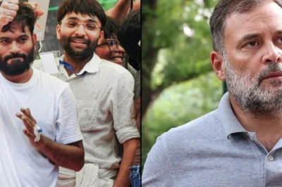 मीम से निकली 'कॉकरोच जनता पार्टी' ने कर दिखाया करिश्मा, 12 साल में जो विपक्ष न कर सका वह कर दिखाया