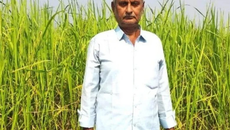 पश्चिम चंपारण के विजय गिरी ने किया कमाल, अपने खेतों में उगा रहे हैं धान की 15 दुर्लभ किस्में, 'संजीवनी' और 'मैजिक राइस' जैसे अनोखे चावल शामिल