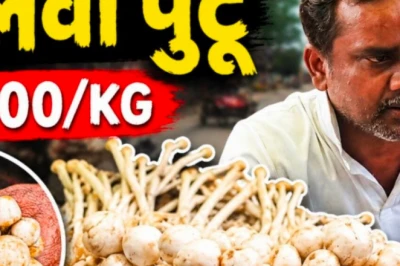 बिजली की गड़गड़ाहट और बारिश से आता है 'डीलवा पुटू', कीमत सुनकर दंग रह जाएंगे आप